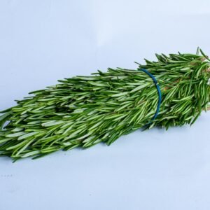 Rosemary