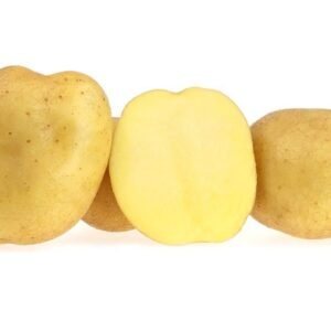 Hermes potato