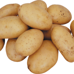 Mondial potato